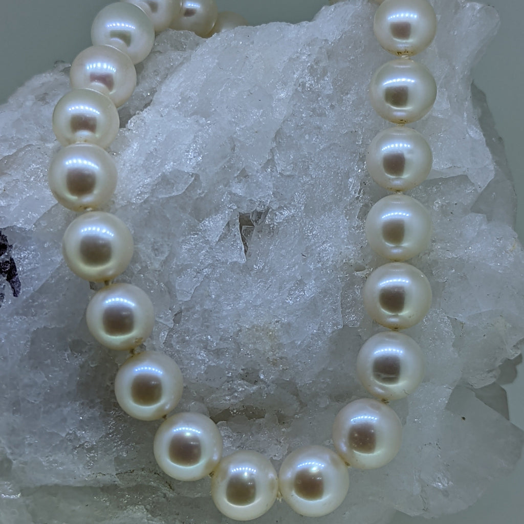 7' 14K Yellow Gold Akoya Necklace