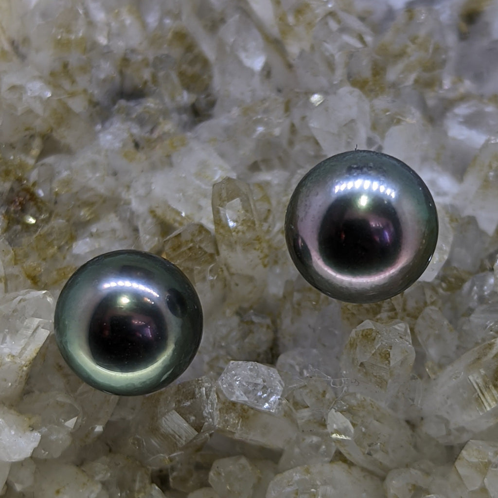 Tahitian Pearl Earrings