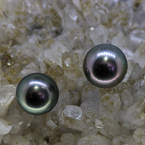 Tahitian Pearl Earrings