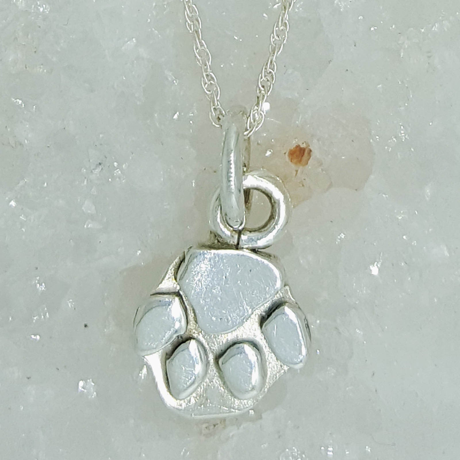 Silver paw print pendant for Safari Animal Rescue — Grinstein Jewelry &  Design