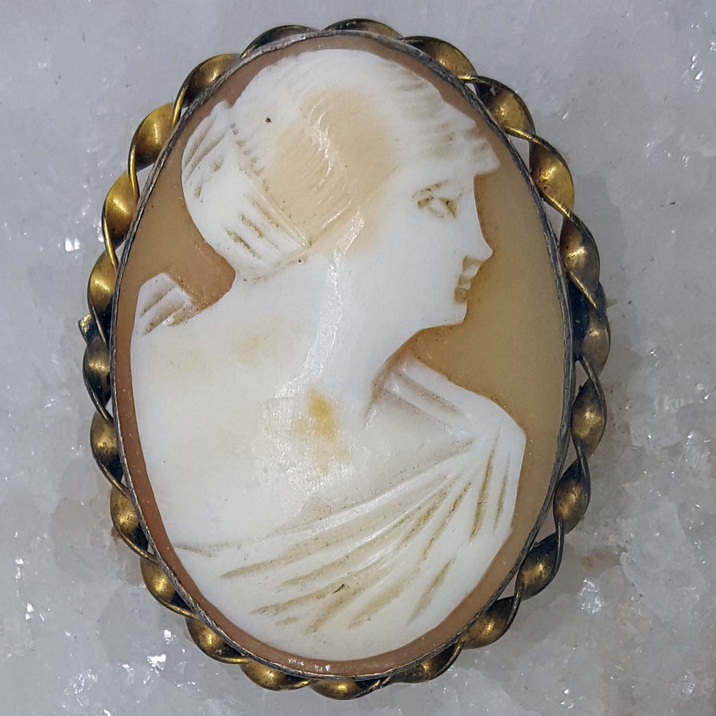 Vintage Cameo Pin