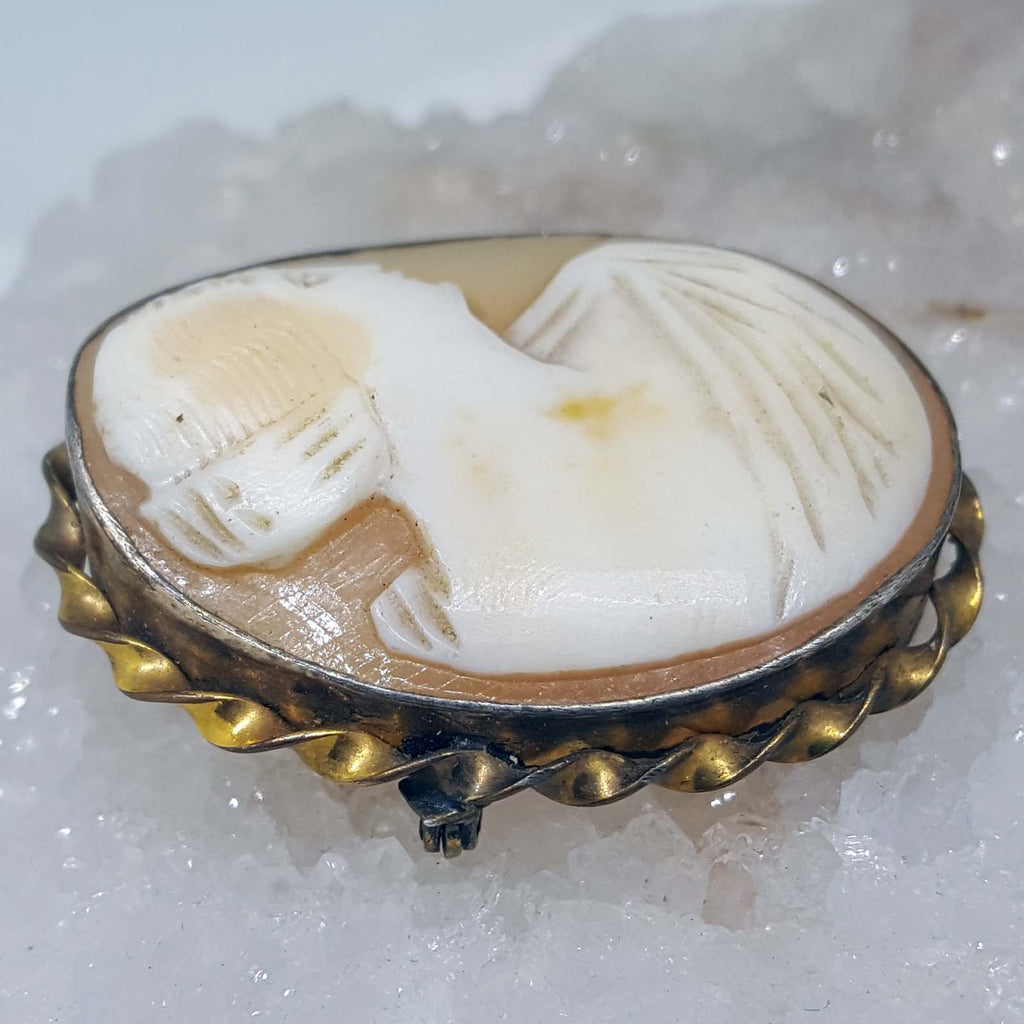 Vintage Cameo Pin